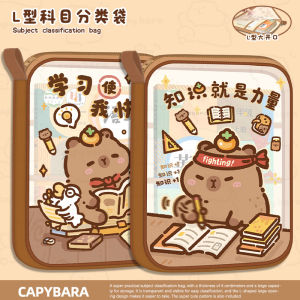 Large Capacity Transparent File Bag Handheld Subject Classification Bag for Primary School Students Book And Textbook Storage