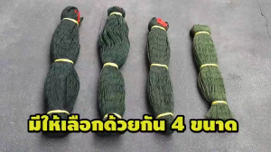 🐓COD🐓อวนล้อมไก่ รั้วตาข่าย 20/50/100M รั้วตาข่าย ตาข่ายไนล่อน อวนล้อมไก่ตาข่ายกันสัตว์ ตาข่ายป้องกันนก