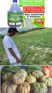 Canaan Organic All-Purpose Liquid Fertilizer: An Insecticide, Pesticide, Fungicide, and Flowering Enhancer