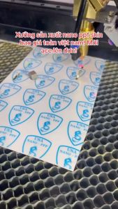 Miếng dán mặt lưng điện thoại iPhone 14 pro max/ 14 pro/ 14 plus/14  PPF full viền bảo vệ điện thoại chống trầy xước PPF USA