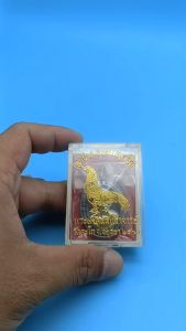 เหรียญหลวงพ่อรวย รุ่นเสาร์ห้า รวยพญาไก่ ออกวัดตะโก ปี ๒๕๖๐ เนื้อทองแดงรมดำ หน้ากากทอง พร้อมกล่อง