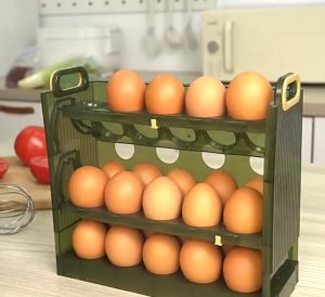 Organizer Telur Ayam Praktis: Rak Telur 30 Lubang & Kotak Penyimpanan