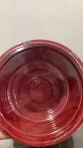 Red Bento Bowl & Single-Use Meal Containers: A Comprehensive Guide