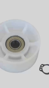Bánh tỳ / con lăn curoa máy sấy BOSCH