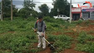 Máy xạc cỏ đa năng giá rẻ SV1E44F