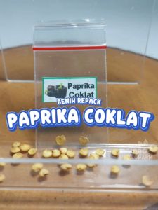 Benih Paprika Coklat Unggulan berkualitas biji bibit hydroponik hidroponik sayuran sayur cabai tomat