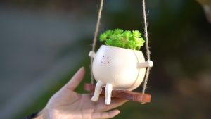 🔥【SG Ready Stock】Display flower pots hanging resin flower head flower pots indoor and outdoor plants succulent plants suitable for string of pearls plants suitable for Christmas mothers