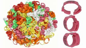 100Pcs Chicken Leg Rings & Numbered Tag Markers: A Comprehensive Guide