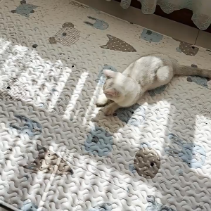 🇸🇬【New Designs】European Style Japanese Tatami Mat / 6mm Thickness / Thick Carpet / Floor Mat / Baby Playmat / Pet Mat / tatami mattress cover /  Para Living