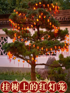 Red Lantern Flashing String Lights Solar Powered Waterproof Colorful New Year Decorative Tree Atmosphere Lights Chinese Style