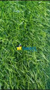 (1PAK ISI 20KOTAK)JOYKO ISI STAPLES NO 10-1M