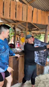 Draxion Jersey Mancing Hoodie Dryfit Custom Baju Memancing Adem Serap Keringat Gratis Nama & Logo