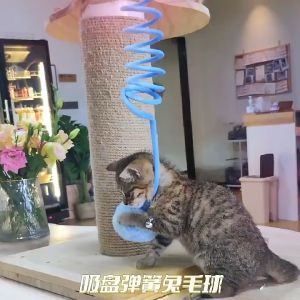 Self-happy Relieving Boredom Teasing Cat Toy Hanging Spring Plush Rabbit Fur Ball Cat Toy Swing Hanging Door Teasing Cat Stick