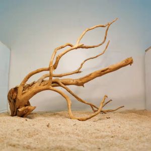 FEIZHUXIANSEN | Natural Driftwood and Azalea Root Aquarium Decor