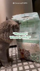 BUY 8 FREE 8: Cloversoft Pets Soya Tofu Cat Litter 7L