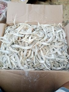 ikan ASIN LAYUR  kering : 1 kg best seler