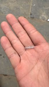 Hộp 100 Bóng cắm xe ô tô 12v 24v cắm táp lô nhỏ lắp cho các loại xe ô tô