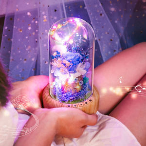 High-End Bluetooth Speaker Creative Gift for Girlfriend Wife Birthday Valentines Day Present Female Friend Special Friend