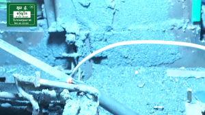 เคียวเกี่ยวข้าว