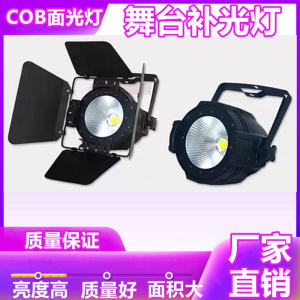 Stage LED Face Light Lamp Cob Par Lamp 100W 150W 200W Warm White Neutral White Performance Wedding Light Fill Light