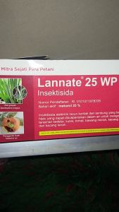 Insektisida Lannate 25WP 15 Gram: Pemakaian Efektif Melawan Serangga