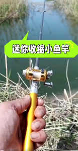 Cần câu bút mini 1.6 mét