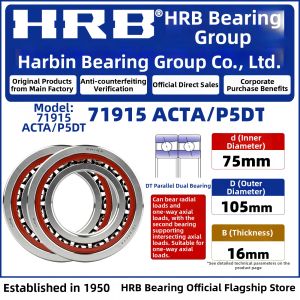 P5 Precision Bearing Pair 719 Series