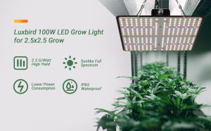 Inkbird 100 watt LED floodlight with replaceable magnesium alloy reflector for outdoor security