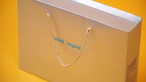 Wellempire Lumbar Belt: A Comprehensive Guide to Back Pain Relief & Posture Correction