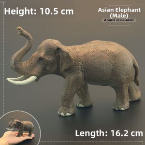 MENGSILE | Solid Realistic Educational Toy Animal Model Elephant