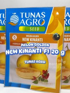 Benih Melon Golden New Kinanti 15 g Tunas Agro dataran rendah biji bibit buah unggulan golden pear hibrida hydroponik hidroponik