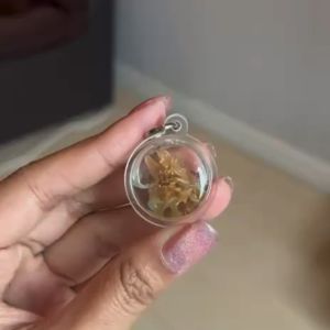 จี้ว่านรักซ้อนมหาเสน่ห์เลี่ยมน้ำมัน ขนาด 3*3 cm จี้น้ำมัน ว่านรักซ้อน ว่านน้ำมัน เลี่ยม 3 ชั้น