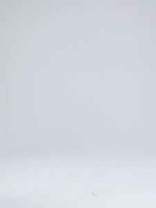 จัดส่งจากจีน [2025] ยางยืดเอวสูงฤดูหนาว lu  กางเกงโยคะ แห้งเร็ว ระบายอากาศได้ หลวม สำหรับวิ่ง กางเกงเก้าจุดสำหรับผู้หญิง 3.8