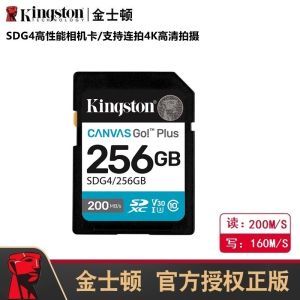 Kingston High Speed Memory SD Card for DSLR Camera 128GB 256GB 64GB Storage Card Fast Read Write Compatible with Canon Nikon Sony