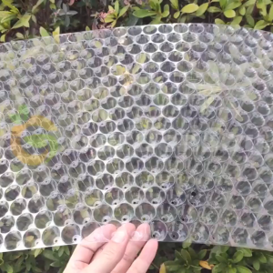 【จัดส่งภายใน 24 ชั่วโมง】ถาดเพาะกล้านาโยน ถาดเพาะกล้า ถาดเพาะเมล็ด ถาดเพาะปลูกผัก ถาดเพาะชำ 434หลุม เมล็ด เมล็ดพันธุ์ 100pcs ทนต่อการกัดกร่อนกรดและด่างปลอดสารพิษเป็นมิตรกับสิ่งแวดล้อม