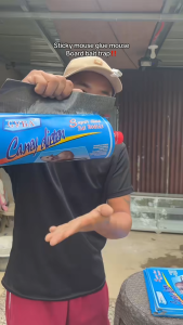 50 Years Free Rat Mouse Trap rat trap gam tikus extra lekat Super Glue perangkap tikus paling berkesan 老鼠贴 20 pcs/Box rat glue trap Capacity 0-30kg getah tikus paling kuat Catcher Board