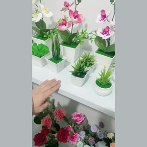 1pc Simulation Potted Plant Aloe Vera Plant Bonsai Office Decoration Artificial Potted Plants