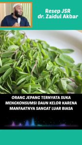 Daun Kelor Segar Non Kimia Kaya Akan Vitamin Berat sampai 1kg Tanaman Merunggai Atau Moringa