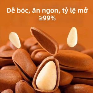 Hạt Thông Lớn Miền Đông Bắc 500g