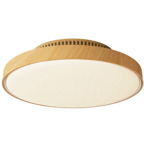 FANZHEN | Air Purification Bladeless Fan Ceiling Light