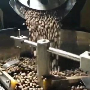 KOPI ARABIKA LINTONG SUMATRA \" TERMURAH SE INDONESIA \"