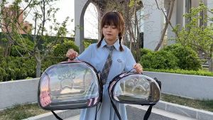 Pet Carrier Bag Capsule Folding Cat Pack Transparent Portable Backpack Dog Breathable Foldable Travel Out Bag Package Handbag