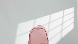 Urban SmartPack Double-Layer School and Trip Backpack Durable and Foldable Design RH2429