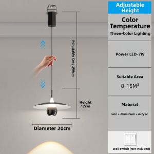 Aiskdan | Modern Minimalist Luxury Creative Lighting Fixture