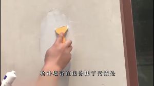 Universal Wall Mending Paste: A 250G Wall Repair Solution