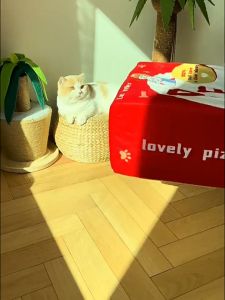 New Creative drawer pet bed thick biscuit box dog kennel warm cat bed removable dog beds for small dogs luxury cute cat house