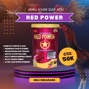 Jamu Ayam Red Power Vip Doping Ayam Bangkok Super Agresif Kualitas Istimewa.