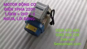 Motor 15kw Toàn Phát chạy điện 220v vòng tua 2900v/p