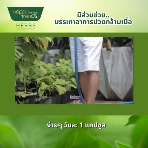 (พร้อมส่ง) Happy Trends Herbs แฮปปี้เทรนด์ เฮิร์บ อาหารเสริมบำรุงกระดูก คลายเส้น ขนาด 30 แคปซูล จำนวน 5 กระปุก พร้อมของแถม กระเป๋า 1 ใบ