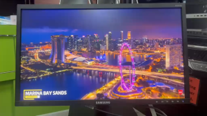 Samsung Monitor 24" S24E450F | 1920x1080 FHD | Adjustable stand provided | Refurbished as New .  Discounted item so NO VOUCHER ACCEPTED PLS